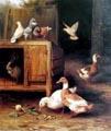 unknow artist Duck and Pigeon Sweden oil painting art